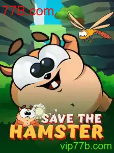 Descubra o Envolvente Mundo de SavetheHamster