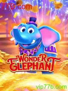 Explorando o Fascinante Mundo de WonderElephant em 77B.com